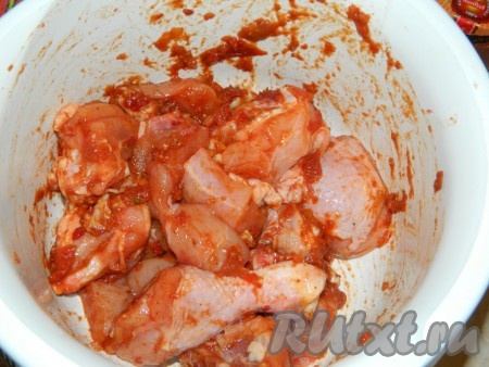 Курицу перемешать с аджикой, солью, приправами.
