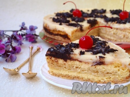 Горячую венгерскую ватрушку, достаём из духовки, прямо в форме заливаем смесью сметаны и сгущёнки, аккуратно чайной ложкой выкладываем сверху шоколад, сухой зубочисткой делаем разводы. Когда насыпной пирог полностью остынет, снимаем с формы кольцо. При желании эту выпечку можно украсить не шоколадом, а ягодами. В любом случае будет очень вкусно. Осталось нарезать нежнейшую венгерскую ватрушку с творогом на части и можно подавать к столу!