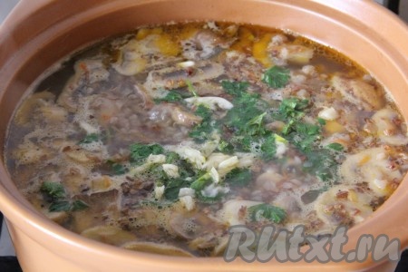 Когда картофель и гречка будут готовы, добавить в кастрюлю шампиньоны, обжаренные с морковью, мелко нарезанный чеснок, посолить, поперчить, дать закипеть, проварить гречневый суп с грибами 3-4 минуты. Затем выложить в кастрюлю мелко нарезанную зелень, довести до кипения и снять с огня. Накрыть кастрюлю крышкой, дать настояться минут 10-15.