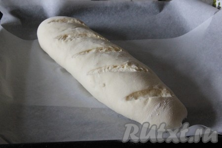 Перевернуть тесто швом вниз, перенести его на противень, застеленный пергаментной бумагой. Оставить на 50 минут для расстойки, накрыв сформированный батон полотенцем. По истечении времени убрать полотенце и дать тесту постоять 10 минут. Через 10 минут с помощью острого ножа сделать на батоне диагональные надрезы.