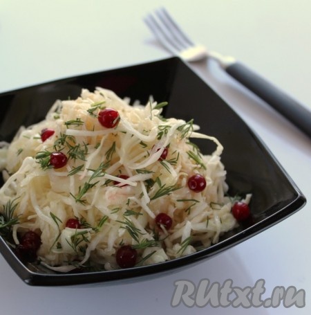 По желанию, салат из белокочанной капусты и курицы посыпать мелко нарезанным укропом, для яркости добавить горсть брусники.