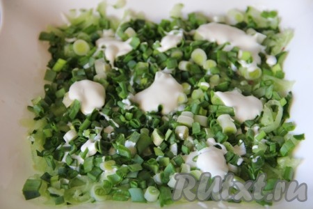 Огурец, редис и отварные яйца натереть на крупной терке. Лук измельчить с помощью ножа. В блюдо выложить все слоями, первым слоем огурцы, которые предварительно нужно отжать от лишней жидкости, сверху присыпать все луком и перемазать все заправкой.