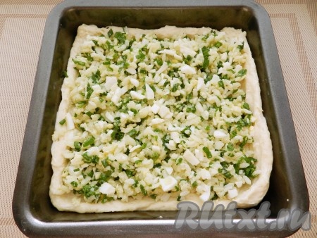 Тесто разделить на две неравные части. В форму для выпечки (я взяла форму размером 20х20 сантиметров), смазанную растительным маслом, выложить большую часть теста, сделать небольшие бортики. Сверху равномерно выложить начинку.