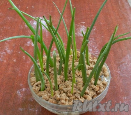 Теперь наступает самый ответственный момент – оформление весенней закуски перьями зеленого лука, хотя в принципе без этого можно обойтись и на вкусовые качества его отсутствие никак не повлияет, но эффект будет не тот.
