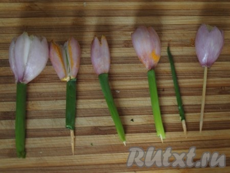 Начинаем оформлять салат "Крокусы".
1 яйцо натереть на мелкой терке, добавить порезанную зелень, перемешать, оформить бока салата. Верх салата выложить из яичного белка, местами поверх белка посыпать печенью, натёртой на терке (получатся, как бы проталины на снегу). Из мелкого лука сделать цветы: ножиком вырезать сверху зубчики, луковицы одеть на зубочистки и затем на зубочистку одеть стебли зелёного лука.
