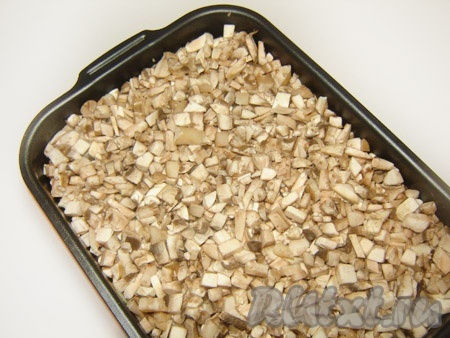 Слой грибов