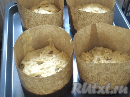 Бумажные формы заполняем тестом на 1/3 и опять оставляем для расстойки. Тесто должно подняться до самого верха.