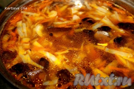 Затем добавляем тушеную капусту в грибной бульон и варим еще несколько минут. &nbsp;Добавляем по необходимости соль, перец, специи.