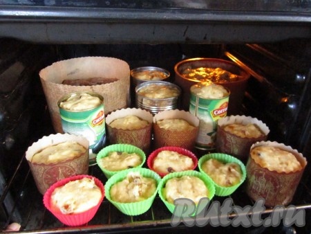 Оставляем куличи подходить в формах пока тесто не поднимется на 3/4 высоты формы.
