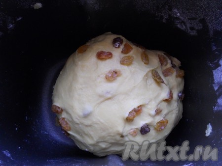 В процессе замешивания теста по сигналу добавить изюм. Тесто можно замесить и вручную. Для этого просеять муку в глубокую посуду, сделать углубление. Всыпать дрожжи, добавить соль, сахар, ванилин, растительное масло и куркуму. Влить смесь из тёплого молока, сливочного масла и желтков. Замесить тесто, которое не будет липнуть к рукам и столу. Затем подмешать изюм, смешанный с щепоткой муки. Оставить тесто в тёплом месте для подхода на 1 час, тесто хорошо увеличится в объёме.