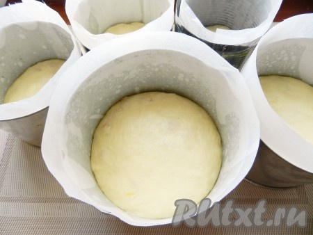 Поднявшееся тесто распределить по формам, заполняя их на половину объема. Я разложила по 5 формам. Тесто в формах должно постоять ещё 15-20 минут и снова подняться. За это время разогреть духовку до 200 градусов. Поставить формы с тестом в духовку, разогретую до 200 градусов, выпекать куличи с миндалём и изюмом 10 минут, затем уменьшить температуру до 180 градусов и печь ещё 30 минут. Готовность куличей проверять длинной сухой деревянной шпажкой, если шпажка после прокалывания останется сухой, без следов теста, значит куличи готовы.