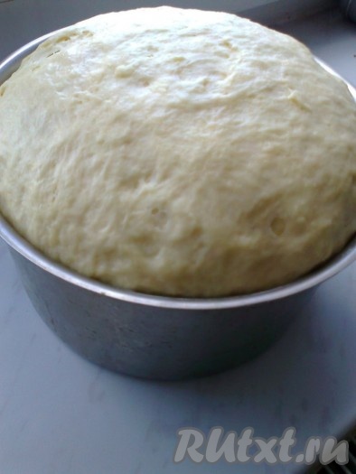 Приготовление паски (кулича):
Готовим дрожжевое опарное тесто. Для приготовления опары кипяченое молоко остудить до температуры 35-40 градусов (чтобы было теплое, но не горячее). Взять 250 мл молока, 75 грамм сахара, смешать, посыпать сверху дрожжи, оставить в теплом месте, пока дрожжи не подойдут шапкой (5 минут). Всыпать 1 граненый стакан муки (130 грамм), размешать, накрыть крышкой и оставить в теплом месте (можно сверху на кастрюле, наполненной до половины горячей водой) на 30 минут. Через 30 минут опара увеличится и на поверхности появятся пузырьки. Это означает, что опара готова, затем надо отдельно взбить яйца с солью, добавить оставшееся молоко 250 мл, 75 грамм сахара и 4 столовые ложки подсолнечного масла. В эту смесь влить опару, добавить постепенно 5 граненых стаканов муки и хорошо вымесить тесто, понемногу подсыпая муку (еще 2 стакана). Муки может понадобиться больше или меньше, в зависимости от ее качества. Смазать руки 2 столовыми ложками подсолнечного масла и сформировать тесто в виде шара. Накрыть крышкой или полотенцем и дать подойти в теплом месте без сквозняков (чтобы тесто хорошо подошло потребуется 1-1,5 часа).