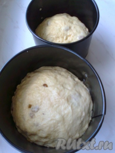 Добавить в тесто изюм (залитый предварительно кипятком и высушенный салфеткой) и выложить тесто в форму для выпечки, смазав ее маслом, тонким слоем, застелив пергаментной бумагой для выпекания (вырезать полоску на бока и круг на дно и вставить внутрь формы, потом положить тесто, заполнив тестом на 1/3 форму (я заполнила на половину и получились очень высокие).