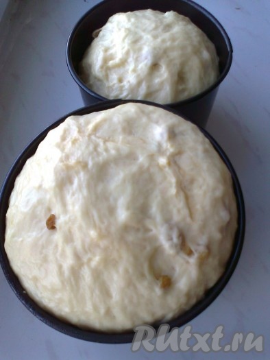 Дать подойти 30-40 минут в теплом месте без сквозняков (можно оставить в выключенной духовке, включив лампочку).