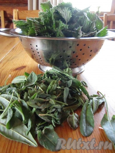 Соберите побольше молодых листьев крапивы и щавеля.