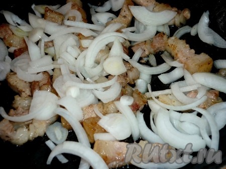 Добавляем к салу лук, порезанный полукольцами.

