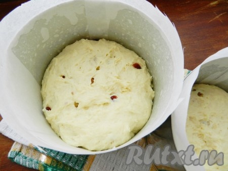 Формы для выпечки застелить пергаментной бумагой, смазать маслом и выложить в них поднявшееся тесто, заполняя формы на половину объема. Накрыть полотенцем и оставить ещё на 20 минут.