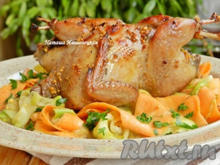 Подавать приготовленных запеченных перепелов на подушке из овощей.