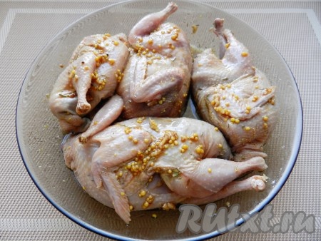 Натереть перепелов маринадом, сложить вместе с маринадом в полиэтиленовый пакет, плотно завязать, убрать в холодильник и оставить мариноваться 2-3 часа.