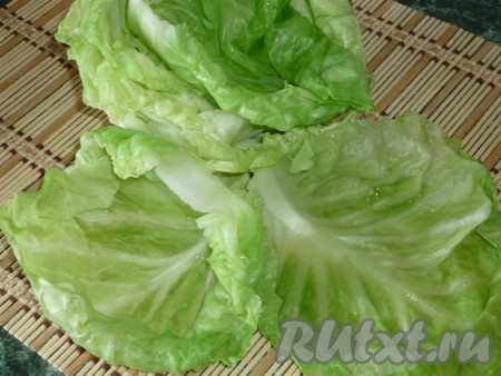 Отрезаем кочерыжку у молодой капусты. В достаточно глубокой кастрюле доводим до кипения воду, затем выкладываем кочан. Даём воде закипеть, уменьшаем огонь. Отвариваем капусту в кипятке в течение нескольких минут (листы должны стать достаточно мягкими). Затем достаём аккуратно кочан из кипятка, отделяем листья капусты, срезаем толстую прожилку у основания каждого листа.