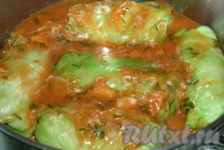 Складываем голубцы из молодой капусты в кастрюлю, заливаем получившимся соусом, доводим до кипения. Голубцы должны быть в соусе практически полностью. Если соуса маловато, тогда долейте ещё немного воды, досолите соус по вкусу. Тушим голубцы на небольшом огне минут 30-35.