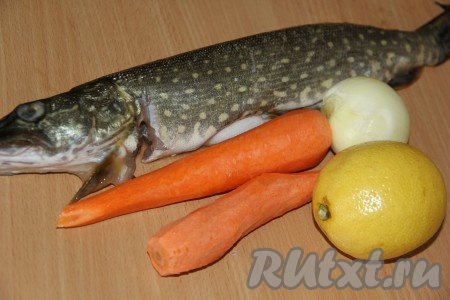 Щуку необходимо очистить, помыть, вынуть внутренности. Щуку натереть обильно солью и оставить на 1 час. Лук и морковь почистить. 
