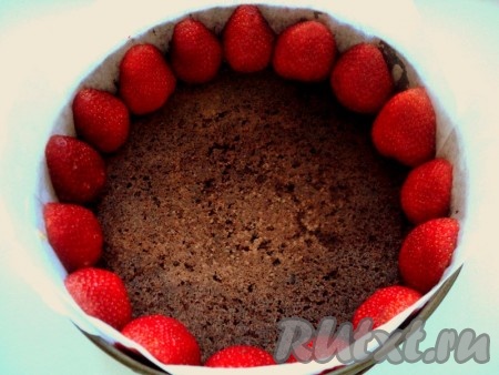 Бока формы выложить бумагой для выпечки, на дно положить шоколадный бисквит. Часть клубники разрезать пополам и установить их &nbsp;плотно по периметру формы срезом к бокам формы.