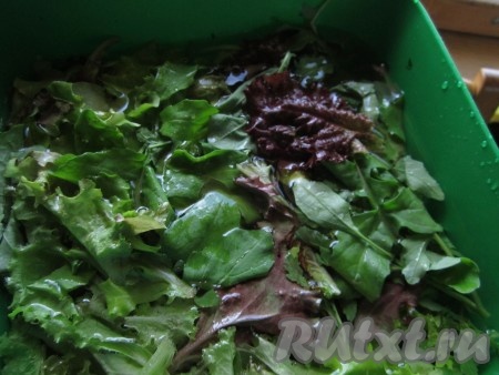 Листья салата помойте и замочите в ледяной воде минут на 20, чтобы их немного освежить (если Вы купили салатную смесь в упаковке, то она, скорее всего, уже полностью готова к употреблению - в этом случае Вам не надо салат ни мыть, ни измельчать. Можно сразу переложить в салатник).
