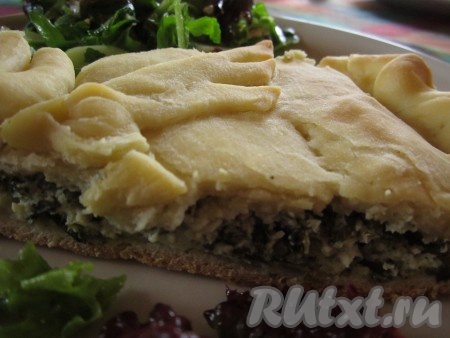 Пирог с творогом, щавелем и зеленью можно резать! А можно оставить до полного охлаждения и есть холодным!