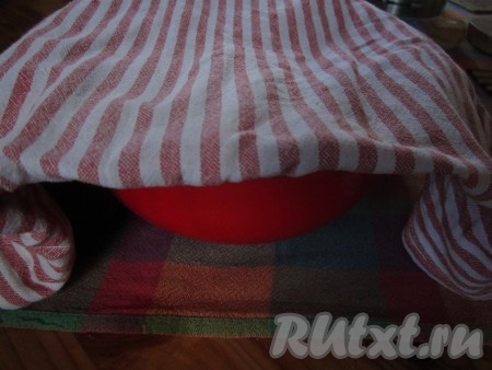 Накройте миску с тестом полотенцем и поставьте в тёплое место на 40 минут подходить.