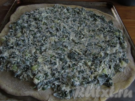 Распределите по лепёшке начинку, немного отступая от краёв.