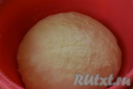 Прежде всего замесим дрожжевое тесто, для этого в миску с просеянной мукой всыпаем дрожжи, сахар, щепотку соли, перемешиваем. В тёплое молоко (температура молока не более 40 градусов) вбиваем сырое яйцо и вливаем растительное масло, перемешиваем молочно-масляную смесь до однородности. В смесь муки и дрожжей вливаем молочно-масляную смесь, перемешиваем вначале ложкой, а затем продолжаем замешивать тесто руками. Тесто должно получиться податливым, не липнущим к рукам, вымешиваем его не менее 7 минут, подсыпая, если необходимо, муку, но старайтесь не переборщить с мукой, тесто должно быть достаточно мягким. Накрываем тесто полотенцем и убираем в тёплое место на 1-1,5 часа для подхода (тесто должно увеличиться вдвое).