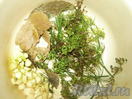 Укладываем укроп, чеснок, лаврушку