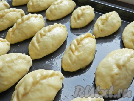 Пирожки с абрикосами выложить на смазанный маслом противень, накрыть полотенцем и оставить на 20 минут для подхода. Тем временем разогреть духовку до 190 градусов. Яйцо разбить в мисочку, взболтать вилкой. Подошедшие пирожки смазать яйцом при помощи кисти. Поставить противень с пирожками в разогретую духовку на 20-25 минут и запечь пирожки до румяности.