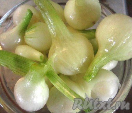 Лук чистим и режем очень мелко. При желании нарезанный лук можно ошпарить для смягчения вкуса.
