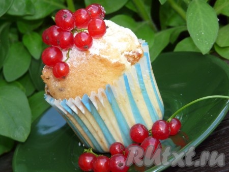 Перед подачей на стол аппетитные и вкусные творожные маффины с изюмом можно посыпать сахарной пудрой или украсить по своему вкусу.