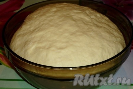 В тёплом молоке растворить дрожжи, добавить 1 столовую ложку сахара и один стакан муки. Оставить на 30 минут. В подошедшую опару добавить яйцо, ванильный сахар, соль, растопленное сливочное и растительное масло. Затем добавить оставшийся сахар и муку. Замесить мягкое тесто. Накрыть его полотенцем и оставить на 1 час в тёплом месте.
