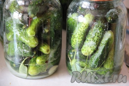 Огурцы предварительно замочить на 5 часов в холодной воде. Затем огурцы тщательно вымыть. Плотно утрамбовать огурцы в банку. В каждую банку добавить 3 чайных ложки сахара, 2 чайных ложки соли, 50 миллилитров уксуса. Воду на данном этапе мы&nbsp;не добавляем, стерилизовать в дальнейшем будем только в уксусе и специях. Прикрыть банки подготовленными крышками.