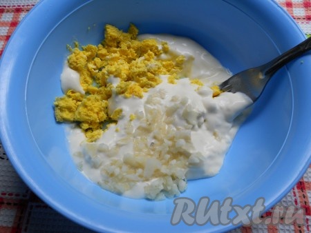 Для приготовления соуса в миску со сметаной добавить чеснок, пропущенный через пресс или измельченный ножом, размятый вареный желток и соль.
