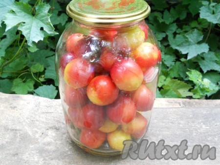 Банку хорошо помыть и обсушить, наполнить сливами.