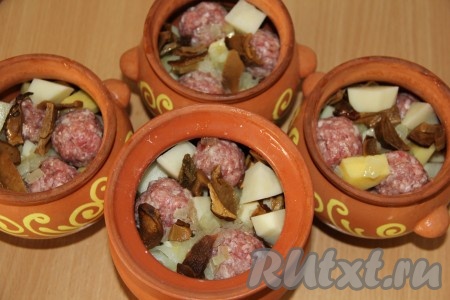 Из фарша сформировать фрикадельки. Положить в горшочки слоями: фрикадельки, нарезанный очищенный картофель, обжаренный лук и грибы.
