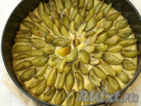 Разъёмную форму (у меня диаметр формы 24 сантиметра) застелить пергаментом, смазать стенки формы растительным маслом, выложить тесто, разровнять. Сверху аккуратно разложить ломтики слив срезами вверх, слегка вдавливая их в тесто.