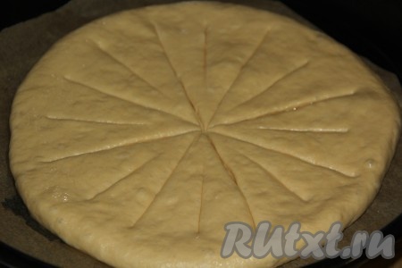 Форму для выпекания застелить пергаментом и смазать растительным маслом. Переложить тесто в форму. Разрезать тесто на 8 частей от центра, но не дорезая до края. В каждой из 8 частей (в центре) сделать небольшой надрез.
