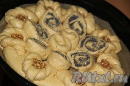 Выложить кусочки теста в середину пирога. В каждый лепесток положить по ядрышку грецкого ореха.
