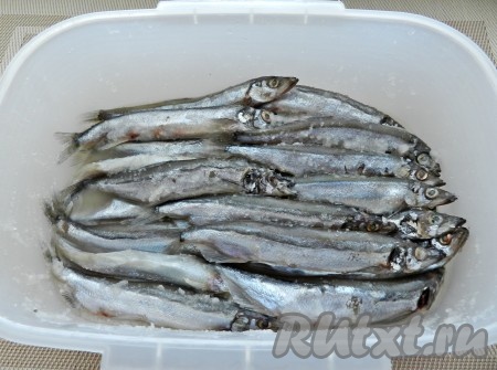 Засыпать мойву солью. Аккуратно перемешать, чтобы соль равномерно распределилась по всей рыбе. Ёмкость с рыбой накрыть крышкой и поставить на сутки в прохладное место. Я ставила в холодильник.