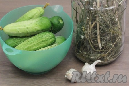 Ингредиенты для приготовления острых маринованных огурцов на зиму