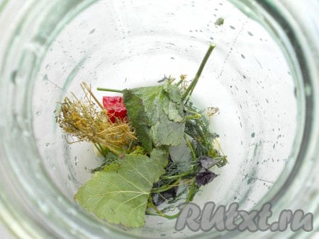 На дно чистых банок поместить укроп, чеснок, листья смородины и базилика, кусочки горького перца.