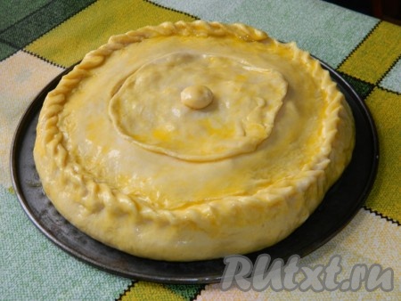 Этим раскатанным тестом накрыть начинку, защипывая края. Сверху поместить "крышечку" из теста. Яйцо взбить в небольшой ёмкости. Взбитым яйцом смазать пирог. Выпекать зур-бэлиш с курицей и картофелем в разогретой духовке 45-50 минут при температуре 190 градусов. Через 20 минут после начала выпекания пирог вынуть, подцепить ножом крышечку и аккуратно влить оставшиеся 30 миллилитров сливок. Затем крышечку закрыть и выпекать оставшееся время (до готовности).