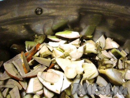 Чистые нечервивые грибы нарежем произвольными кусочками.