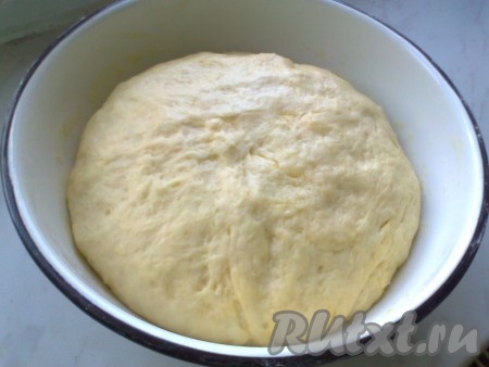 Накрываем тесто и оставляем подняться на 1 час в теплом месте (можно поставить на верхнюю полку в выключенную духовку, а на нижнюю поставить кастрюлю с горячей водой), обминаем и еще оставляем на 30 минут.
